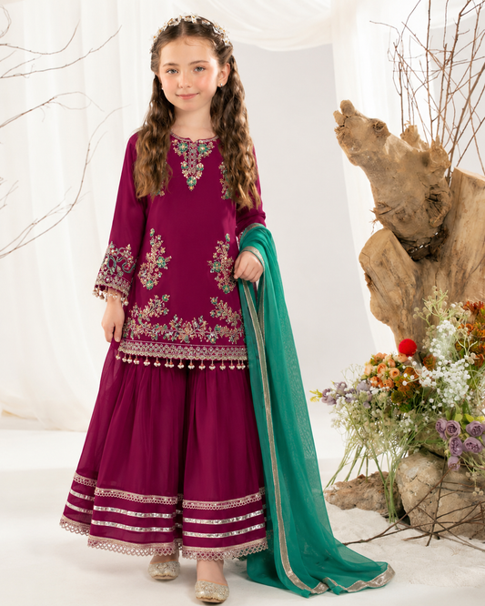 Embroidered gharara