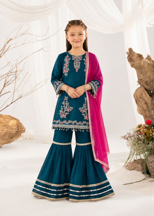 Embroidered Gharara